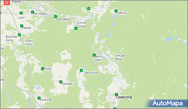 mapa Leśny Dwór gmina Osieczna, Leśny Dwór gmina Osieczna na mapie Targeo