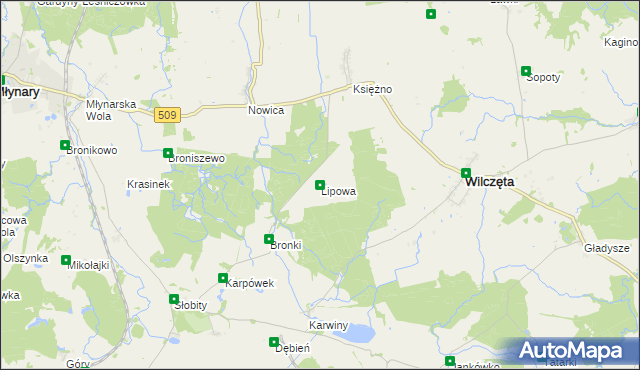 mapa Lipowa gmina Wilczęta, Lipowa gmina Wilczęta na mapie Targeo