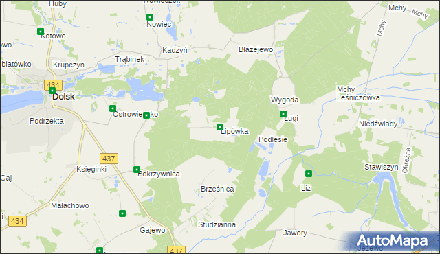 mapa Lipówka gmina Dolsk, Lipówka gmina Dolsk na mapie Targeo