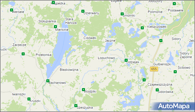 mapa Łopuchowo gmina Jeleniewo, Łopuchowo gmina Jeleniewo na mapie Targeo