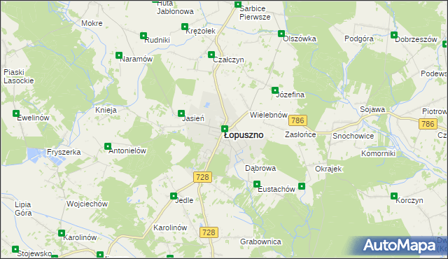 mapa Łopuszno, Łopuszno na mapie Targeo