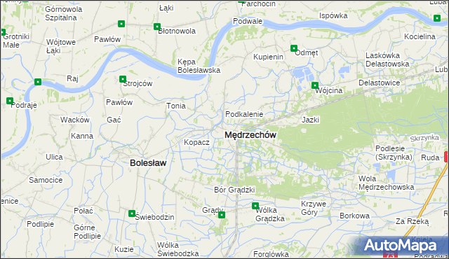 mapa Mędrzechów, Mędrzechów na mapie Targeo