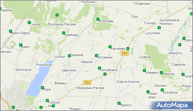 mapa Michałowo gmina Słupca, Michałowo gmina Słupca na mapie Targeo