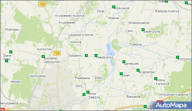 mapa Międzybórz gmina Opoczno, Międzybórz gmina Opoczno na mapie Targeo