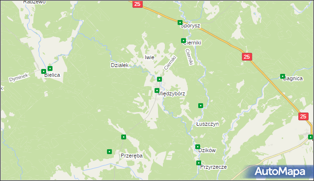 mapa Międzybórz gmina Rzeczenica, Międzybórz gmina Rzeczenica na mapie Targeo