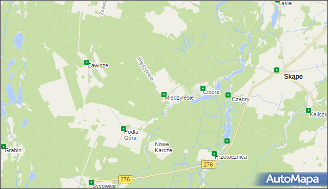 mapa Międzylesie gmina Skąpe, Międzylesie gmina Skąpe na mapie Targeo