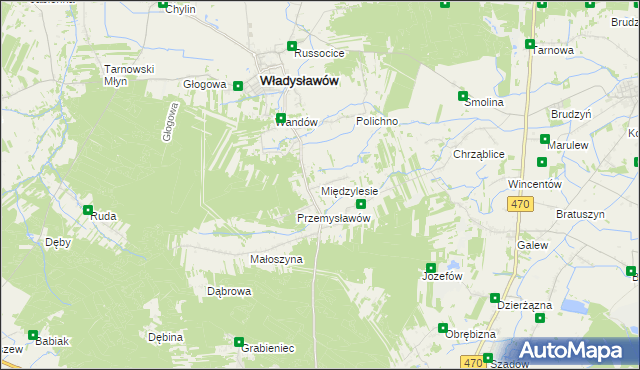 mapa Międzylesie gmina Władysławów, Międzylesie gmina Władysławów na mapie Targeo