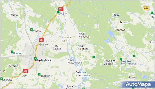 mapa Niwki Książęce gmina Międzybórz, Niwki Książęce gmina Międzybórz na mapie Targeo