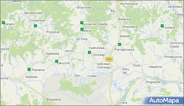 mapa Odrowąż gmina Czarny Dunajec, Odrowąż gmina Czarny Dunajec na mapie Targeo