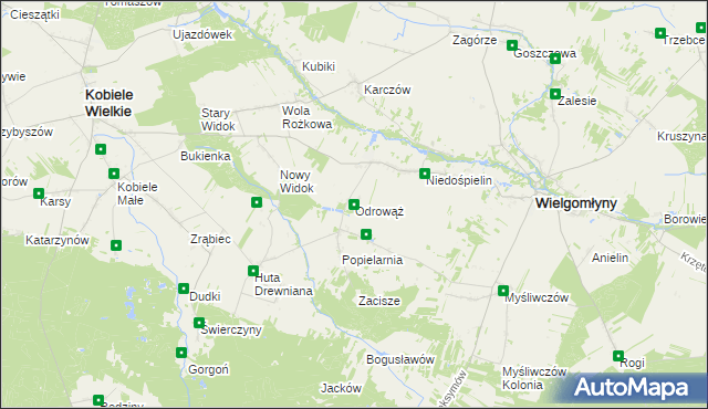 mapa Odrowąż gmina Wielgomłyny, Odrowąż gmina Wielgomłyny na mapie Targeo