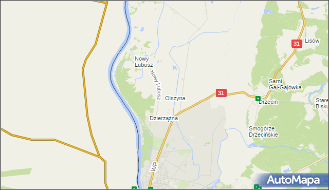 mapa Olszyna gmina Słubice, Olszyna gmina Słubice na mapie Targeo