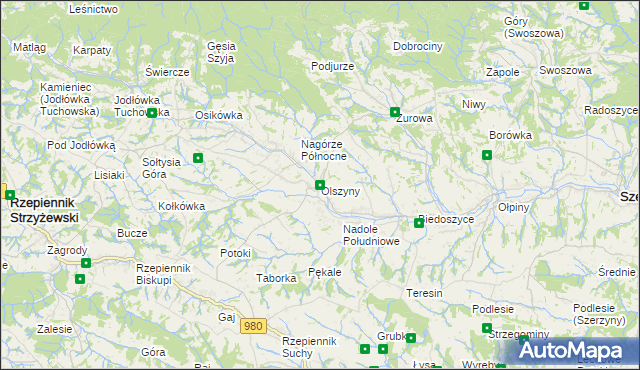 mapa Olszyny gmina Rzepiennik Strzyżewski, Olszyny gmina Rzepiennik Strzyżewski na mapie Targeo