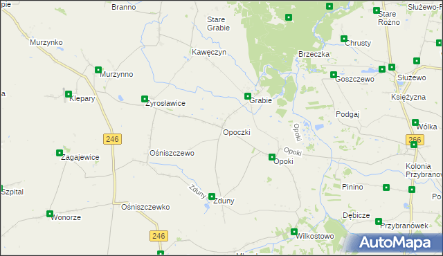 mapa Opoczki, Opoczki na mapie Targeo