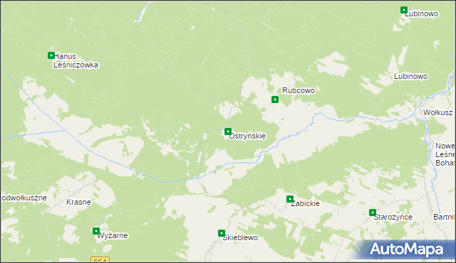 mapa Ostryńskie, Ostryńskie na mapie Targeo