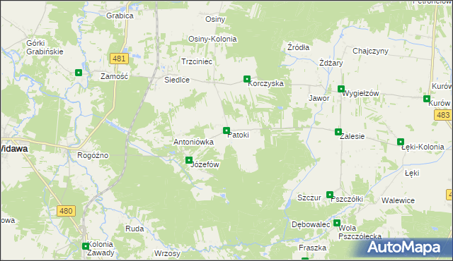 mapa Patoki gmina Widawa, Patoki gmina Widawa na mapie Targeo