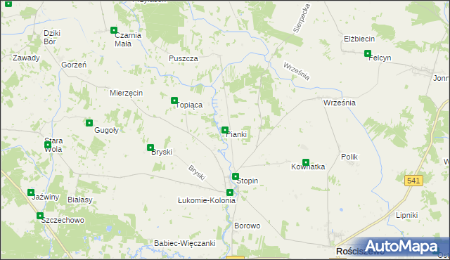 mapa Pianki gmina Rościszewo, Pianki gmina Rościszewo na mapie Targeo