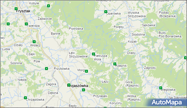 mapa Pietrusza Wola, Pietrusza Wola na mapie Targeo