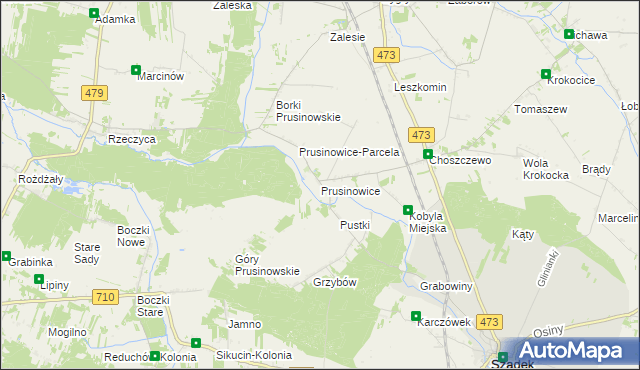 mapa Prusinowice gmina Szadek, Prusinowice gmina Szadek na mapie Targeo
