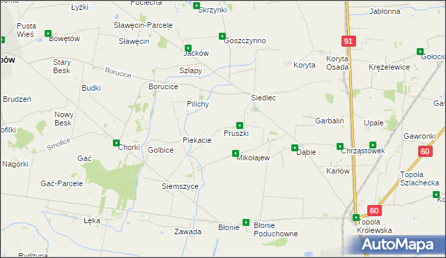 mapa Pruszki gmina Łęczyca, Pruszki gmina Łęczyca na mapie Targeo