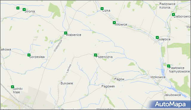 mapa Pszeniczna, Pszeniczna na mapie Targeo