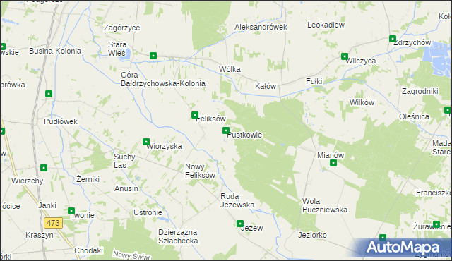 mapa Pustkowie gmina Poddębice, Pustkowie gmina Poddębice na mapie Targeo