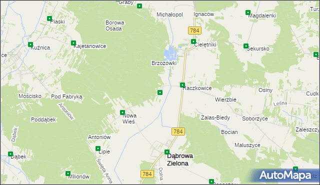 mapa Raczkowice-Kolonia, Raczkowice-Kolonia na mapie Targeo