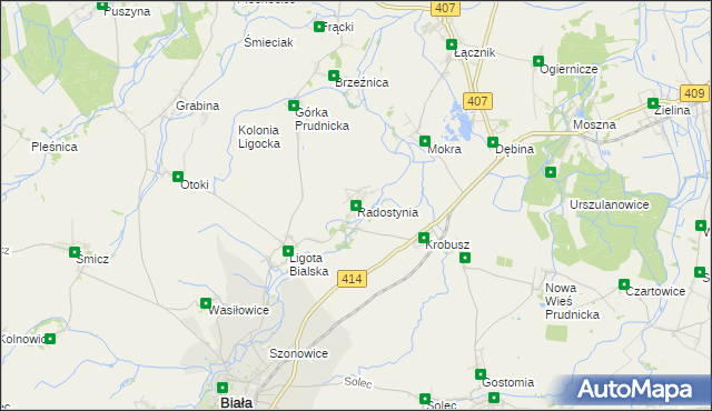 mapa Radostynia, Radostynia na mapie Targeo