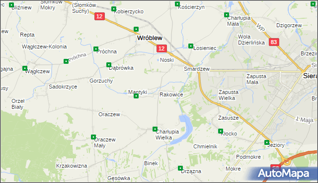 mapa Rakowice gmina Wróblew, Rakowice gmina Wróblew na mapie Targeo