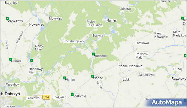 mapa Rodzone gmina Radomin, Rodzone gmina Radomin na mapie Targeo