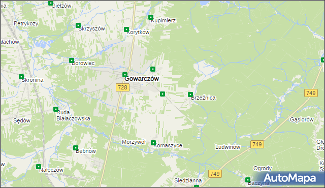 mapa Rogówek gmina Gowarczów, Rogówek gmina Gowarczów na mapie Targeo