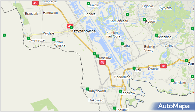 mapa Roszków gmina Krzyżanowice, Roszków gmina Krzyżanowice na mapie Targeo