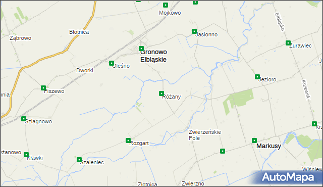 mapa Różany gmina Gronowo Elbląskie, Różany gmina Gronowo Elbląskie na mapie Targeo