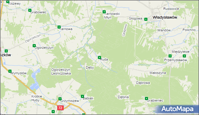 mapa Ruda gmina Tuliszków, Ruda gmina Tuliszków na mapie Targeo