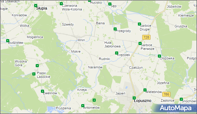 mapa Rudniki gmina Łopuszno, Rudniki gmina Łopuszno na mapie Targeo