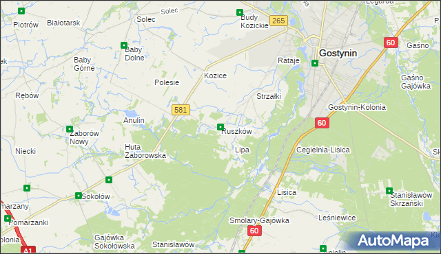 mapa Ruszków gmina Gostynin, Ruszków gmina Gostynin na mapie Targeo