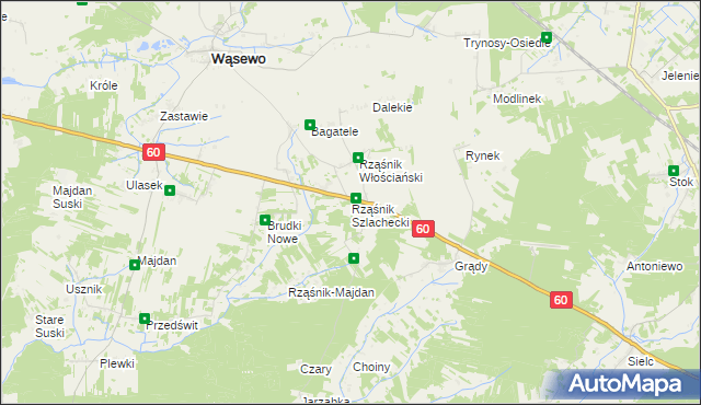 mapa Rząśnik Szlachecki, Rząśnik Szlachecki na mapie Targeo