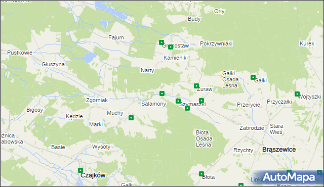 mapa Salamony gmina Brąszewice, Salamony gmina Brąszewice na mapie Targeo