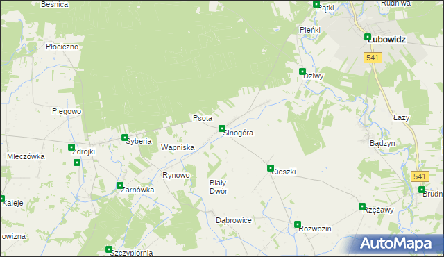 mapa Sinogóra, Sinogóra na mapie Targeo