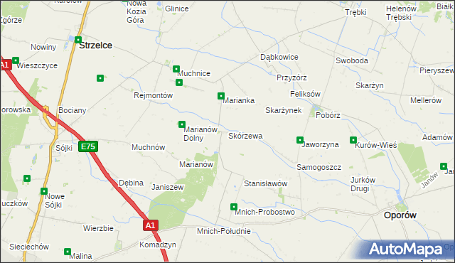 mapa Skórzewa, Skórzewa na mapie Targeo