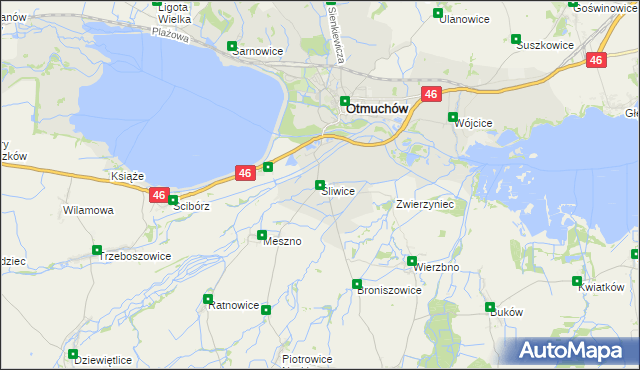 mapa Śliwice gmina Otmuchów, Śliwice gmina Otmuchów na mapie Targeo