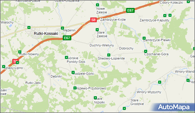 mapa Śliwowo-Łopienite, Śliwowo-Łopienite na mapie Targeo