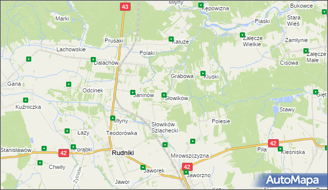 mapa Słowików gmina Rudniki, Słowików gmina Rudniki na mapie Targeo