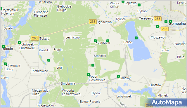 mapa Smolniki gmina Ślesin, Smolniki gmina Ślesin na mapie Targeo