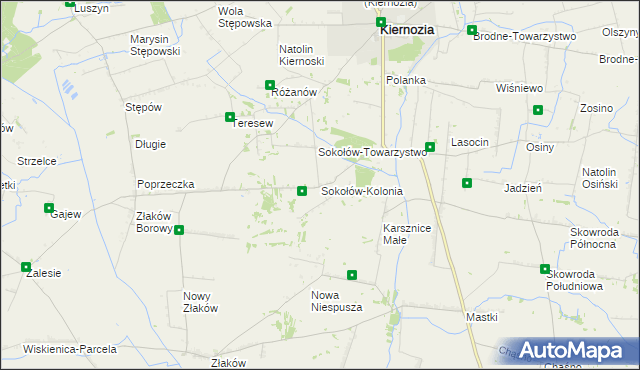 mapa Sokołów-Kolonia, Sokołów-Kolonia na mapie Targeo