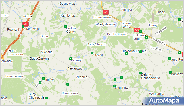 mapa Strzyże gmina Mszczonów, Strzyże gmina Mszczonów na mapie Targeo