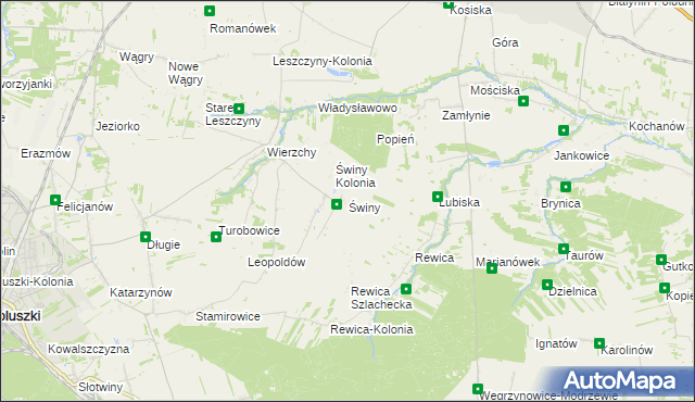 mapa Świny gmina Koluszki, Świny gmina Koluszki na mapie Targeo