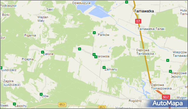 mapa Szarowola, Szarowola na mapie Targeo