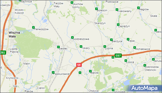 mapa Tokary gmina Długołęka, Tokary gmina Długołęka na mapie Targeo