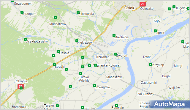 mapa Trzcianka gmina Osiek, Trzcianka gmina Osiek na mapie Targeo