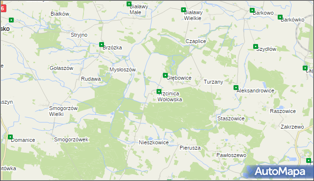 mapa Trzcinica Wołowska, Trzcinica Wołowska na mapie Targeo